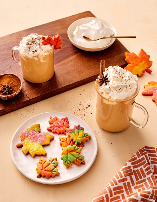 Homemade Crock Pot Pumpkin Spice Latte